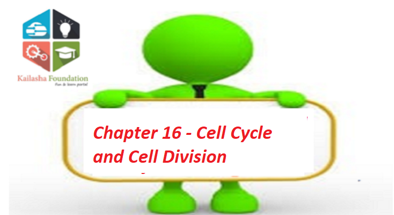 Chapter 16 – Cell Cycle and Cell Division