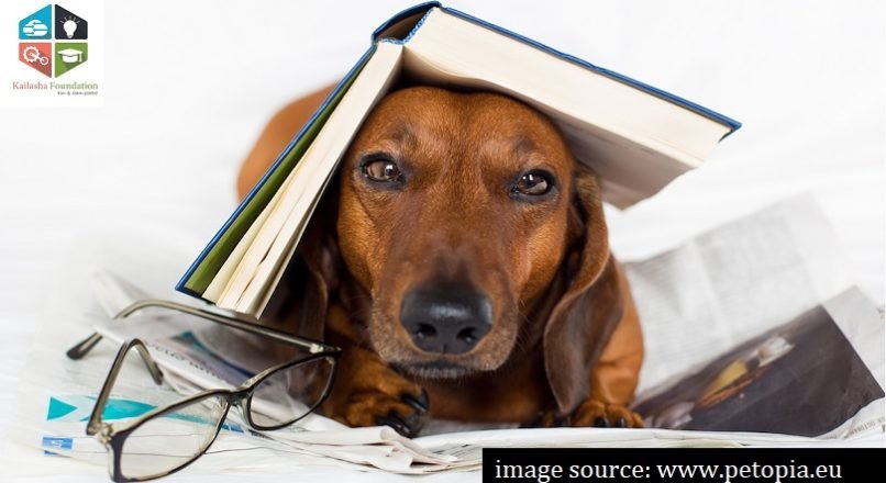 A book is a man’s best friend, after a dog